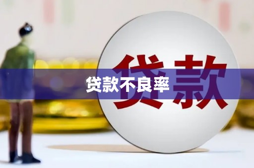 定安贷款不良率