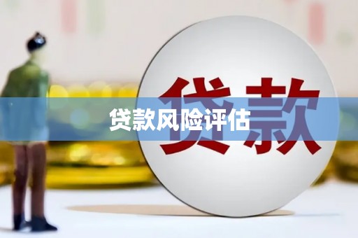 保亭贷款风险评估