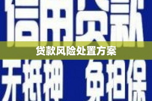乐亭贷款风险处置方案