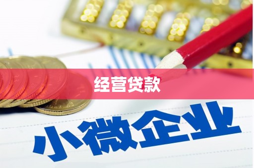 文圣经营贷款