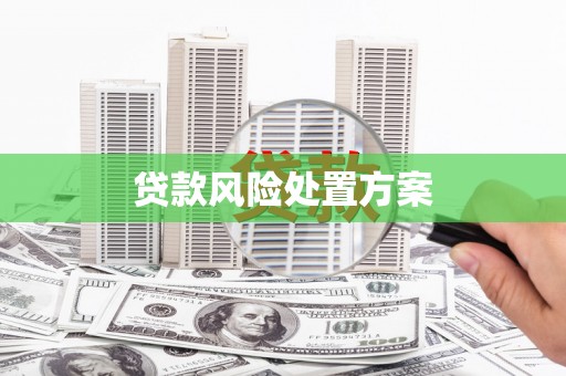 齐齐哈尔贷款风险处置方案