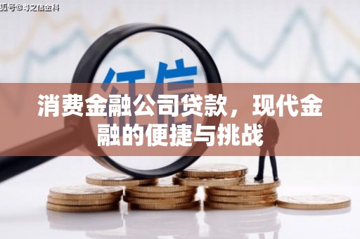 木垒消费金融公司贷款，现代金融的便捷与挑战