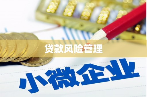 唐山贷款风险管理