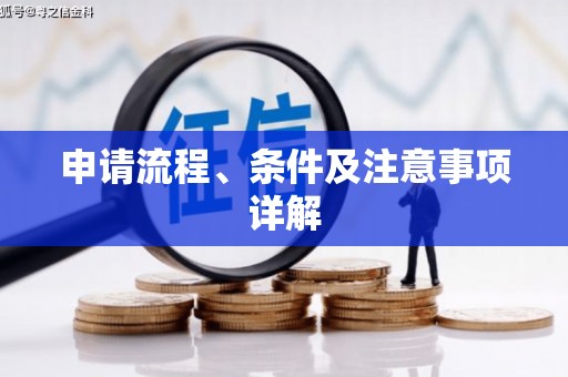 宾阳申请流程、条件及注意事项详解