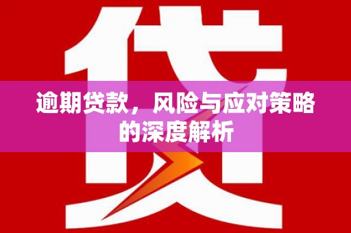 汝南逾期贷款，风险与应对策略的深度解析