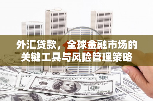 马边外汇贷款，全球金融市场的关键工具与风险管理策略