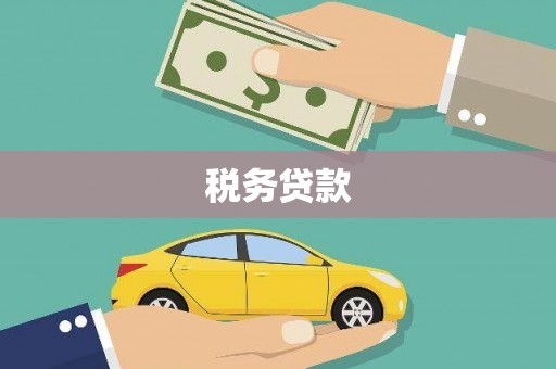 田林税务贷款