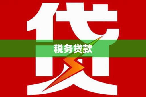 揭东税务贷款