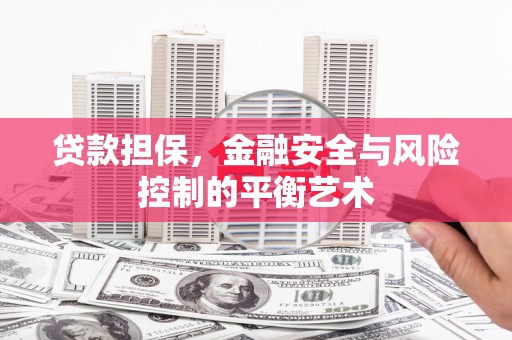 路环岛贷款担保，金融安全与风险控制的平衡艺术