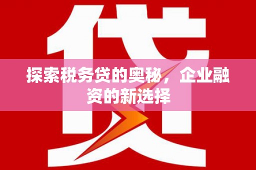 茂林探索税务贷的奥秘，企业融资的新选择