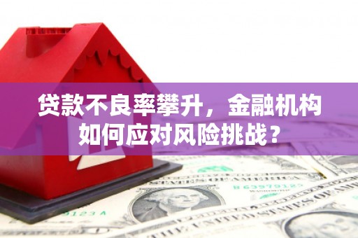 海伦贷款不良率攀升，金融机构如何应对风险挑战？