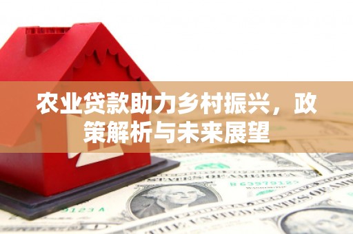 镇远农业贷款助力乡村振兴，政策解析与未来展望