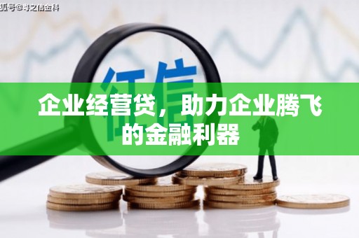潍坊企业经营贷，助力企业腾飞的金融利器
