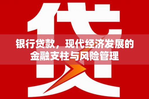 扶绥银行贷款，现代经济发展的金融支柱与风险管理