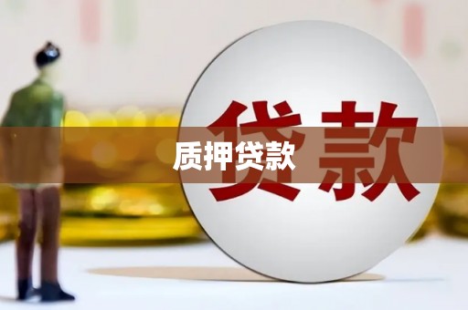 镇原质押贷款