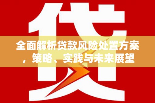 九龙城全面解析贷款风险处置方案，策略、实践与未来展望