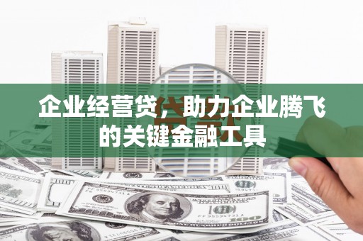 桑日企业经营贷，助力企业腾飞的关键金融工具