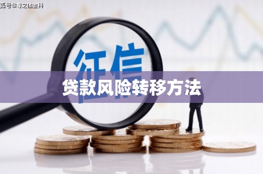 新河贷款风险转移方法 新河贷款风险转移方法