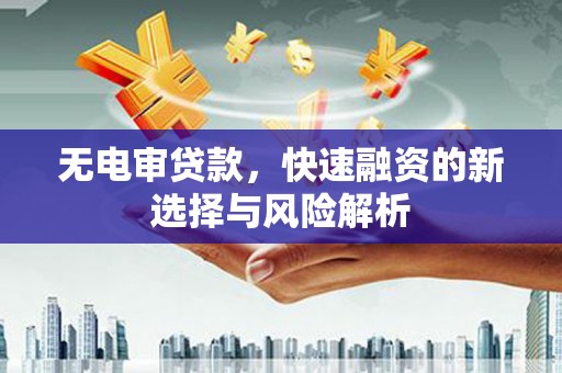 港口无电审贷款，快速融资的新选择与风险解析