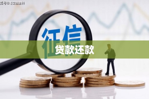 乐东贷款还款
