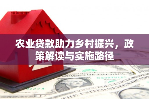 石鼓农业贷款助力乡村振兴，政策解读与实施路径