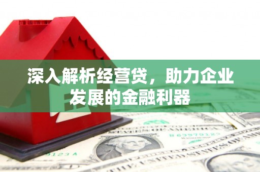 马山深入解析经营贷，助力企业发展的金融利器