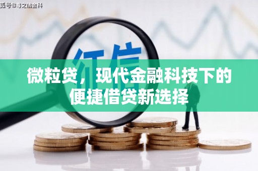 屏山微粒贷，现代金融科技下的便捷借贷新选择