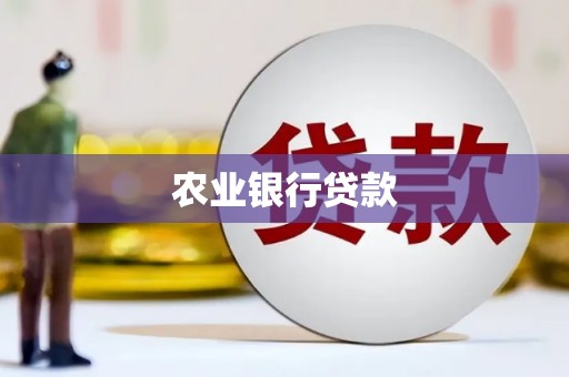 龙游农业银行贷款