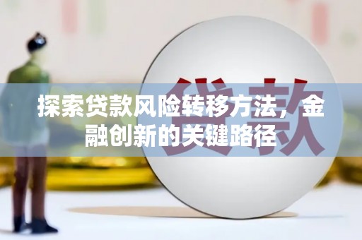 大林探索贷款风险转移方法，金融创新的关键路径
