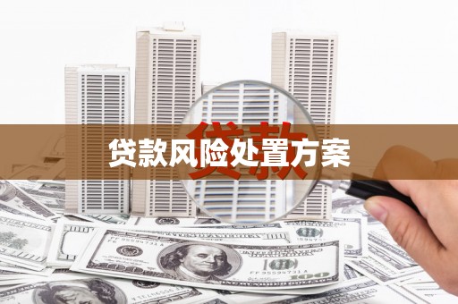 寿丰贷款风险处置方案