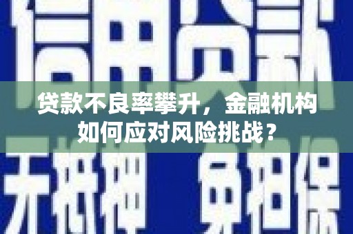 茂县贷款不良率攀升，金融机构如何应对风险挑战？