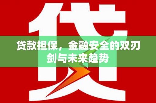 平潭贷款担保，金融安全的双刃剑与未来趋势