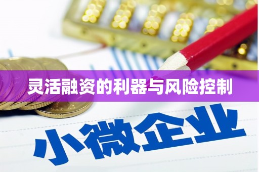 普湾新区灵活融资的利器与风险控制