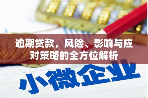西华逾期贷款，风险、影响与应对策略的全方位解析