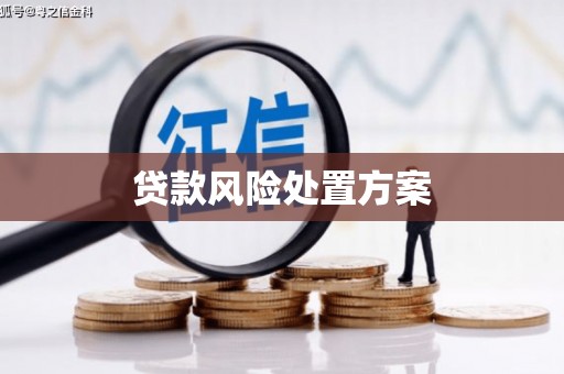 建瓯贷款风险处置方案