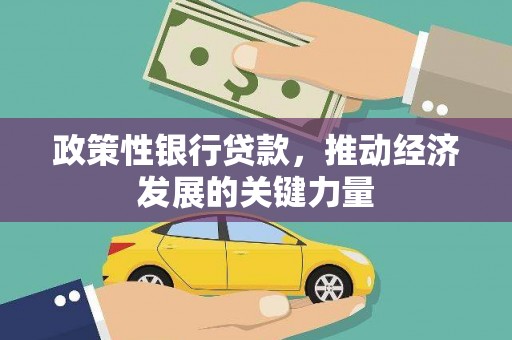 临夏政策性银行贷款，推动经济发展的关键力量