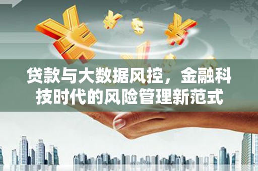宁武贷款与大数据风控，金融科技时代的风险管理新范式
