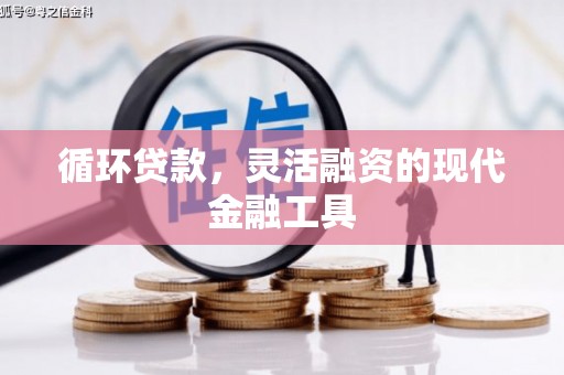 米脂循环贷款，灵活融资的现代金融工具