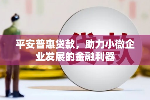 市中区平安普惠贷款，助力小微企业发展的金融利器