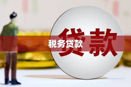 巴里坤税务贷款