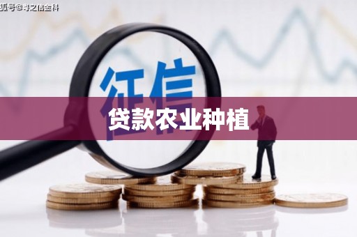 玉屏贷款农业种植