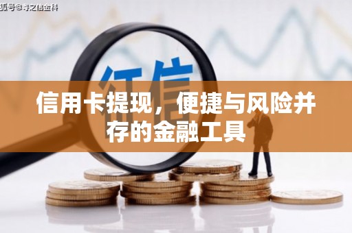 溆浦信用卡提现，便捷与风险并存的金融工具