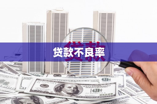 禄劝贷款不良率