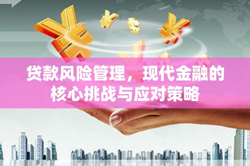 梁园贷款风险管理，现代金融的核心挑战与应对策略