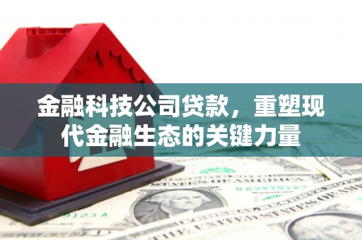西区金融科技公司贷款，重塑现代金融生态的关键力量