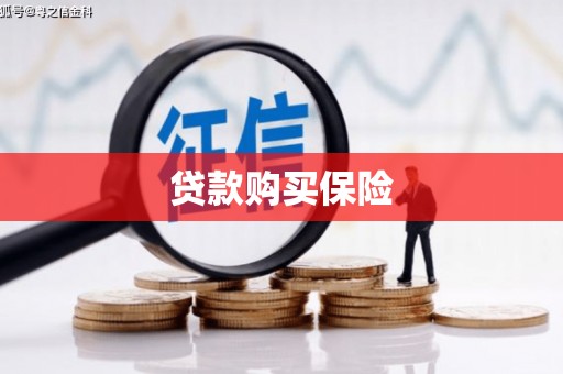 长岭贷款购买保险