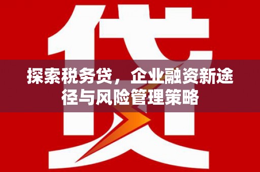 桃园探索税务贷，企业融资新途径与风险管理策略
