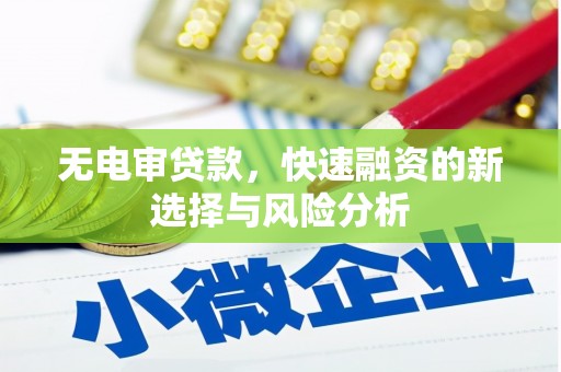 潍坊无电审贷款，快速融资的新选择与风险分析