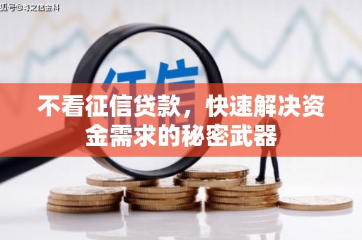 南浔不看征信贷款，快速解决资金需求的秘密武器