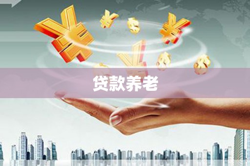 边坝贷款养老